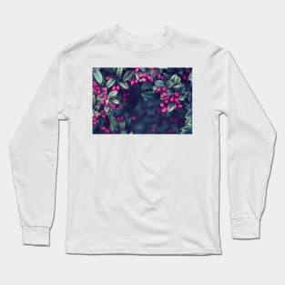 Ordinary Evening Long Sleeve T-Shirt